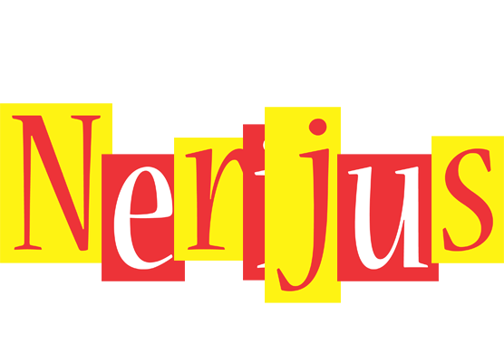 Nerijus errors logo