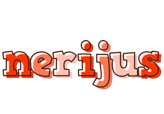 Nerijus paint logo