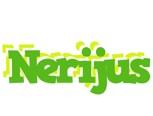 Nerijus picnic logo
