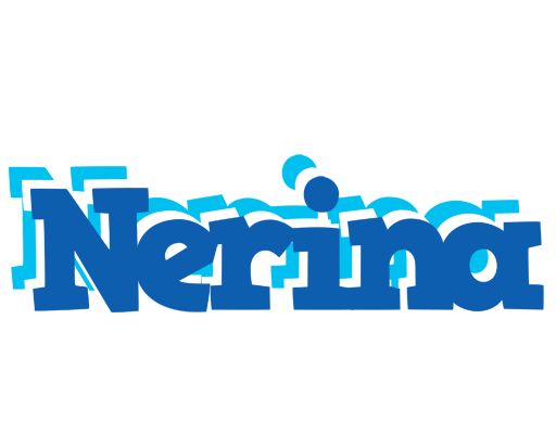 Nerina business logo