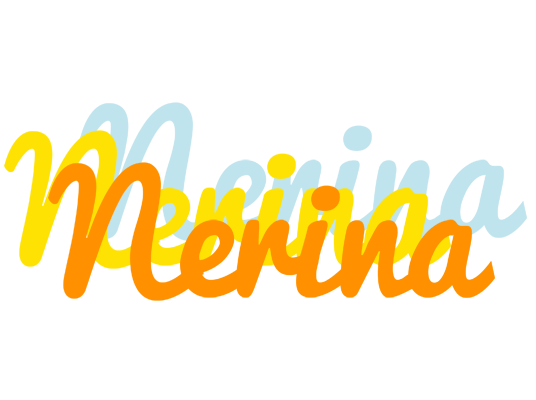 Nerina energy logo