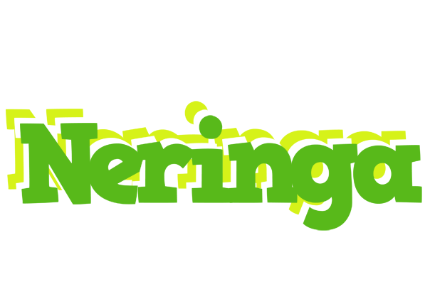 Neringa picnic logo