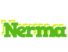 Nerma picnic logo