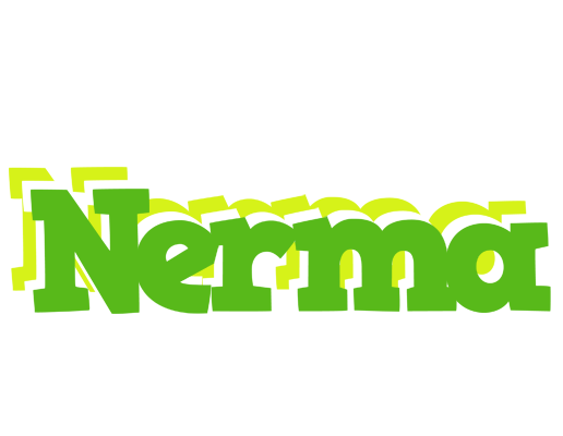 Nerma picnic logo