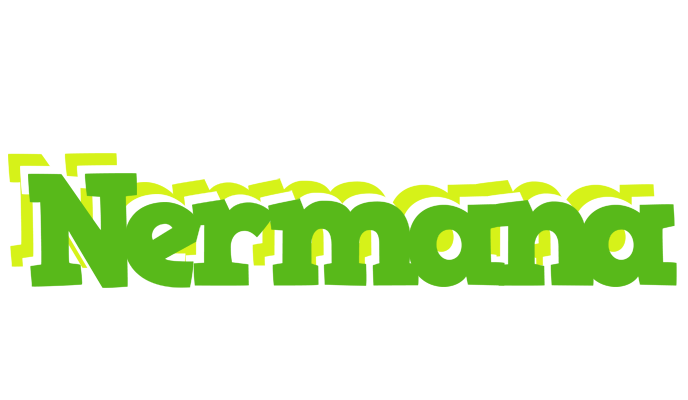 Nermana picnic logo