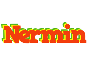 Nermin bbq logo