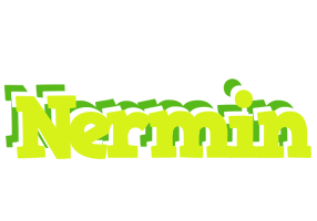 Nermin citrus logo