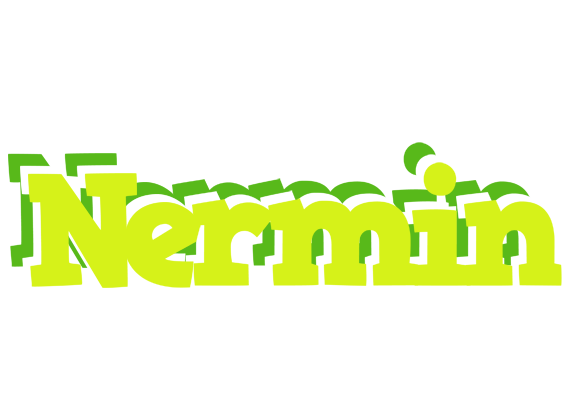 Nermin citrus logo