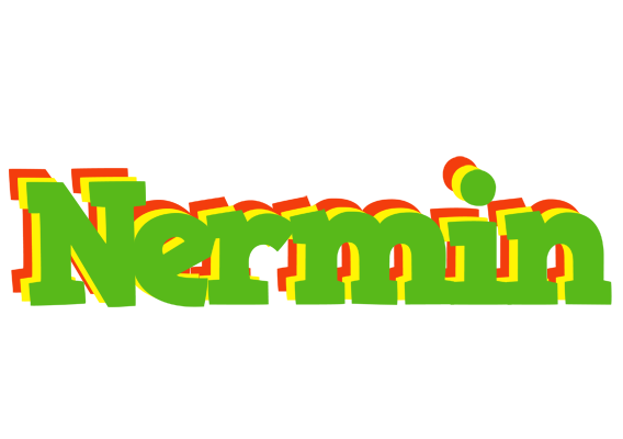 Nermin crocodile logo