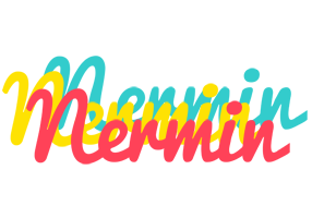 Nermin disco logo