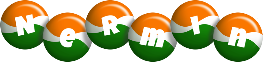 Nermin india logo
