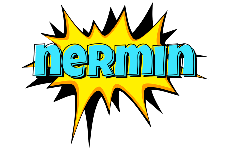 Nermin indycar logo