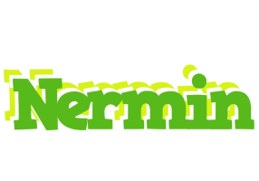 Nermin picnic logo