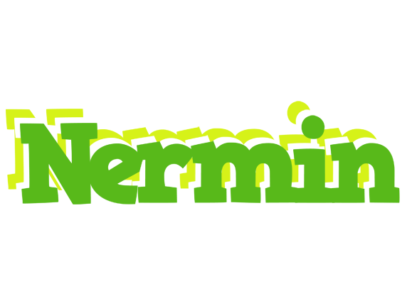 Nermin picnic logo