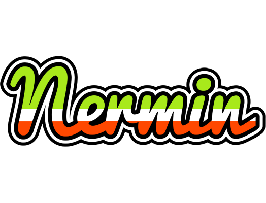 Nermin superfun logo