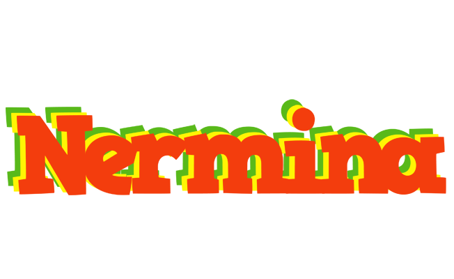 Nermina bbq logo