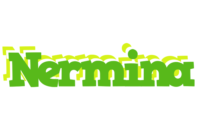 Nermina picnic logo