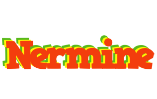 Nermine bbq logo
