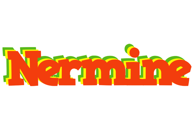 Nermine bbq logo