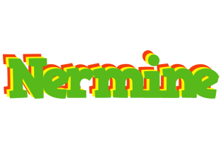 Nermine crocodile logo