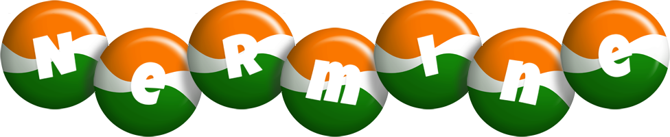 Nermine india logo