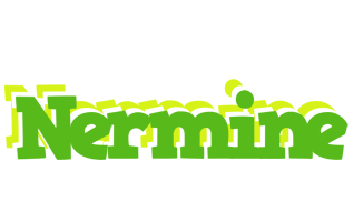 Nermine picnic logo