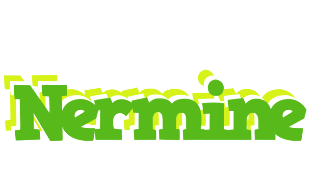 Nermine picnic logo