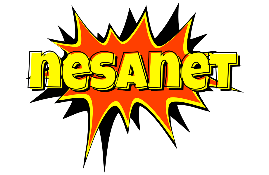 Nesanet bazinga logo