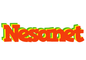 Nesanet bbq logo
