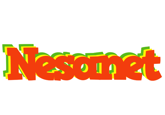 Nesanet bbq logo