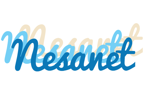 Nesanet breeze logo