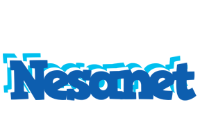 Nesanet business logo