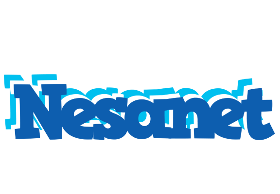 Nesanet business logo