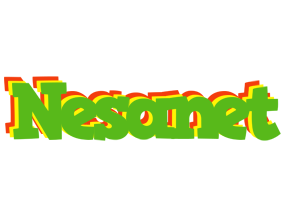 Nesanet crocodile logo