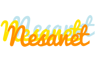 Nesanet energy logo