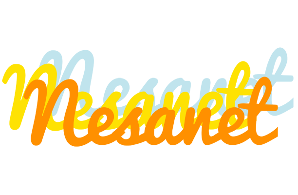Nesanet energy logo