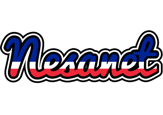 Nesanet france logo