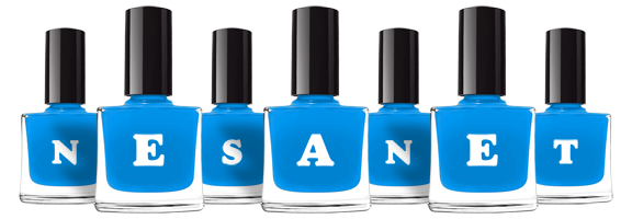 Nesanet glossy logo