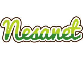 Nesanet golfing logo
