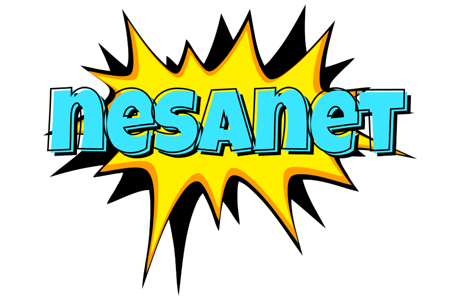 Nesanet indycar logo