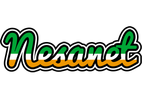 Nesanet ireland logo