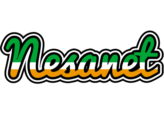 Nesanet ireland logo