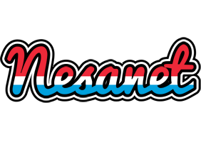 Nesanet norway logo