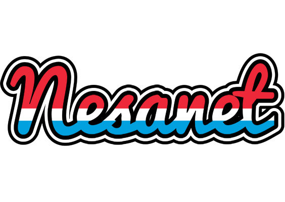 Nesanet norway logo
