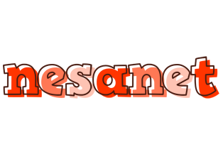 Nesanet paint logo
