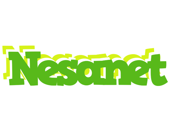 Nesanet picnic logo