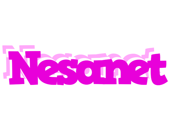 Nesanet rumba logo