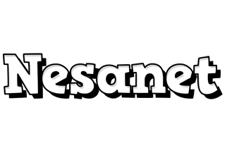 Nesanet snowing logo