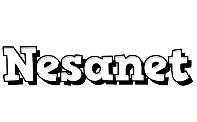 Nesanet snowing logo