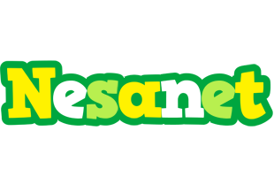 Nesanet soccer logo